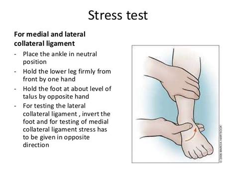 ankle torsion test|inversion stress test ankle.